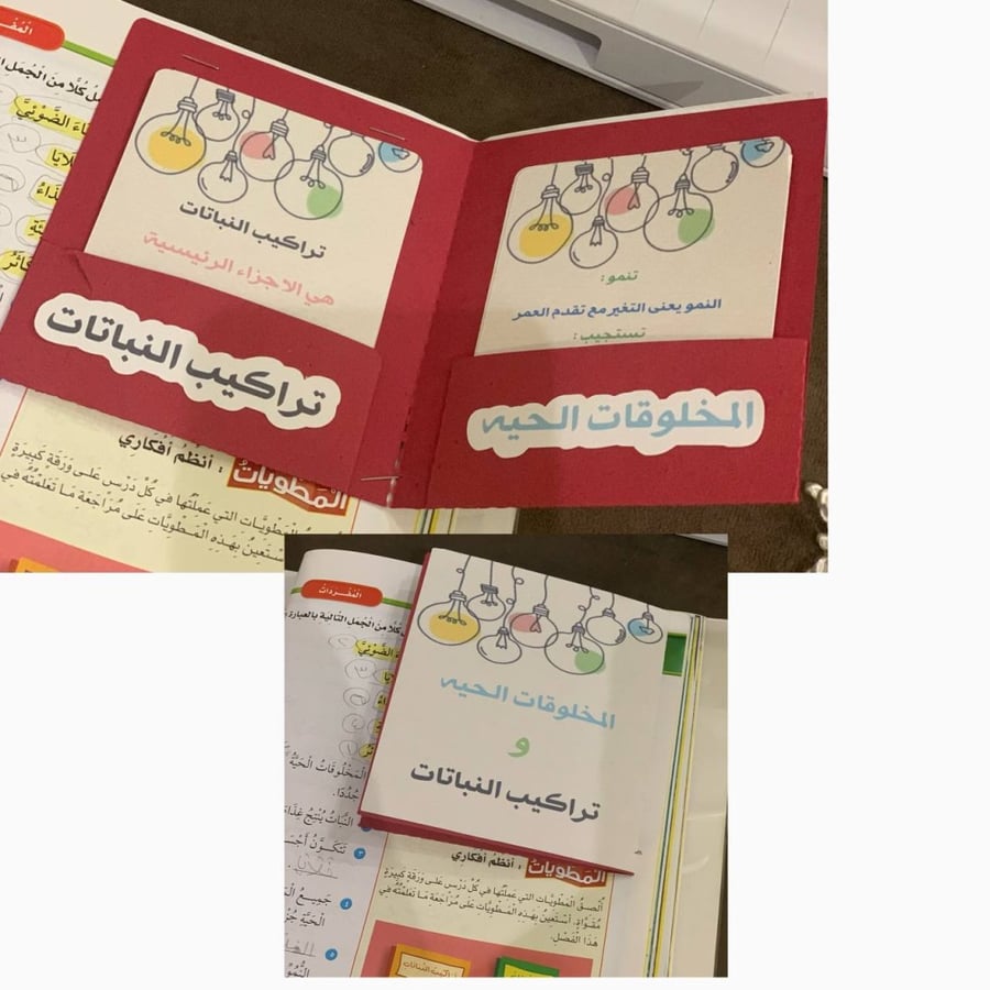 مطوية المخلوقات الحية و تراكيب النباتات