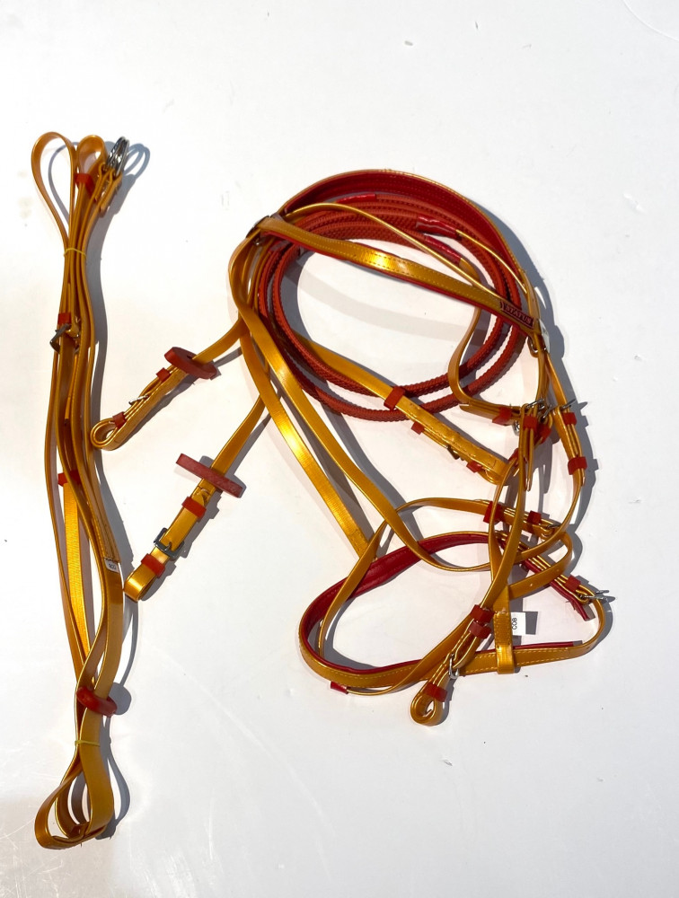 Stetson bridle + vest