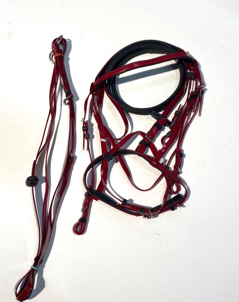 Stetson bridle + vest