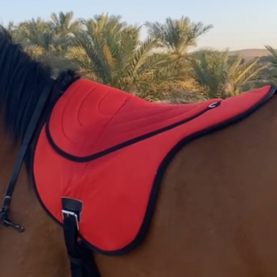 لبادة ركوب ستيتوس