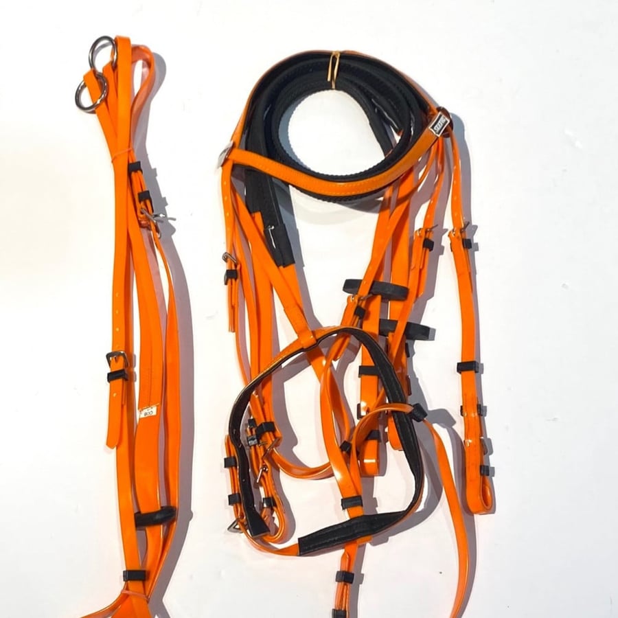Stetson bridle + vest