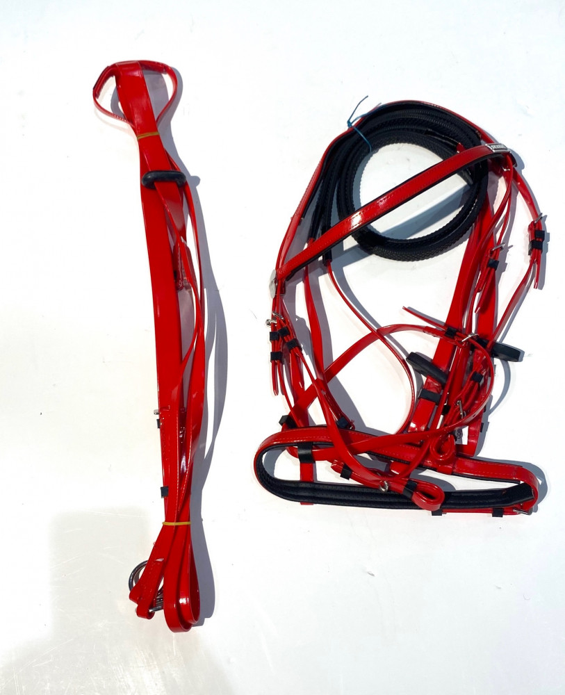 Stetson bridle + vest
