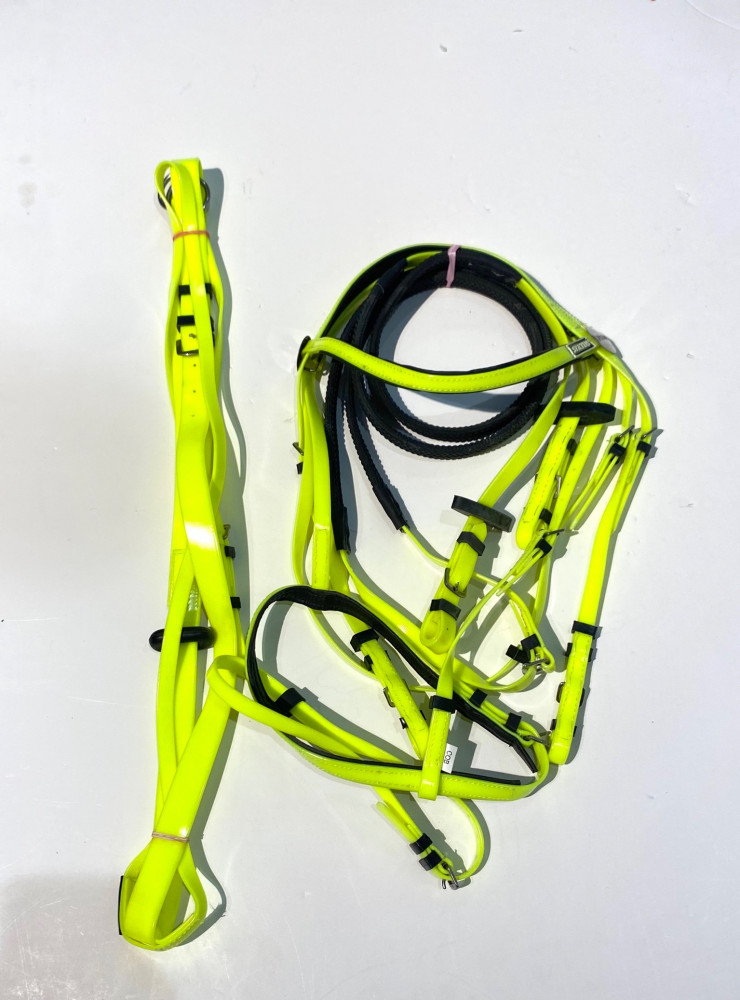 Stetson bridle + vest