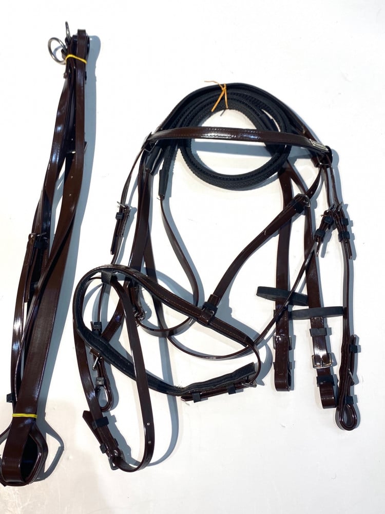 Stetson bridle + vest