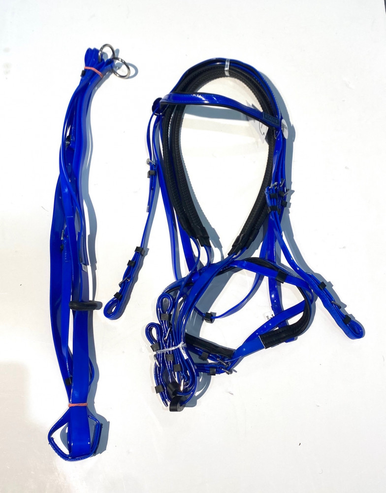 Stetson bridle + vest