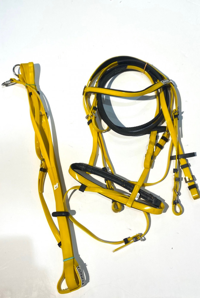 Stetson bridle + vest