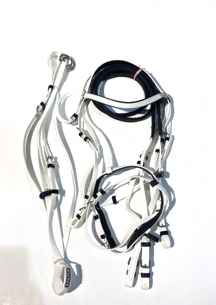 Stetson bridle + vest