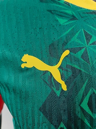 تيشيرت منتخب السنغال الأساسي 2026