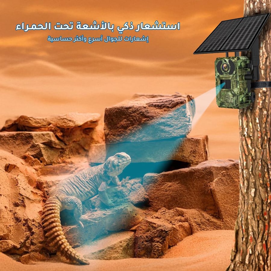 كاميرا الرحالة ميجا 4G بالطاقة الشمسية (للبر والمزارع - بدون كهرباء)