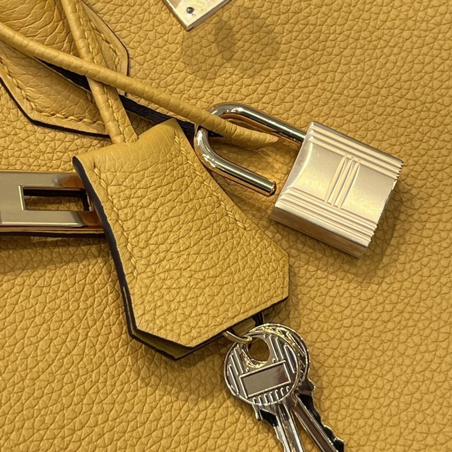 Birkin 25cm Togo