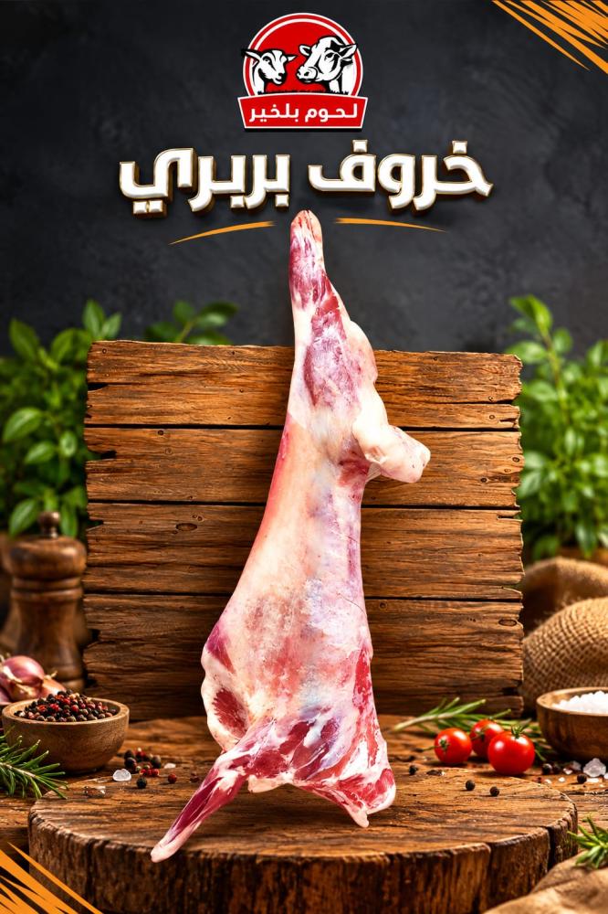 خروف بربري 10-11كيلو