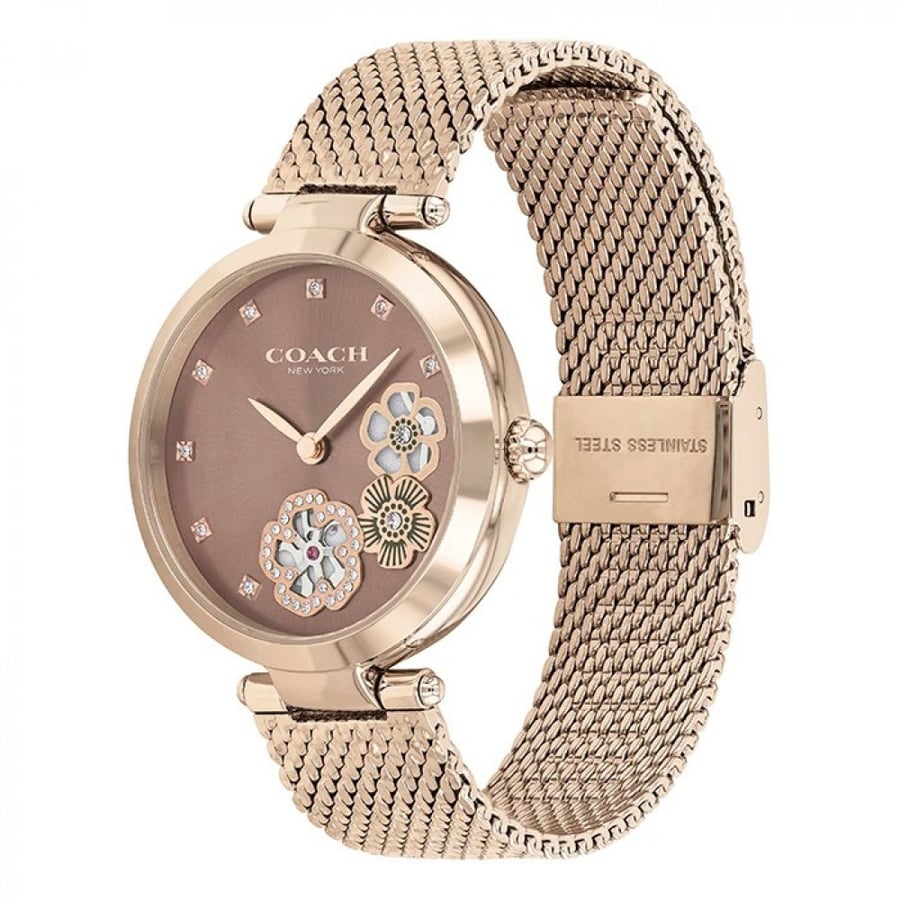 Coach watch