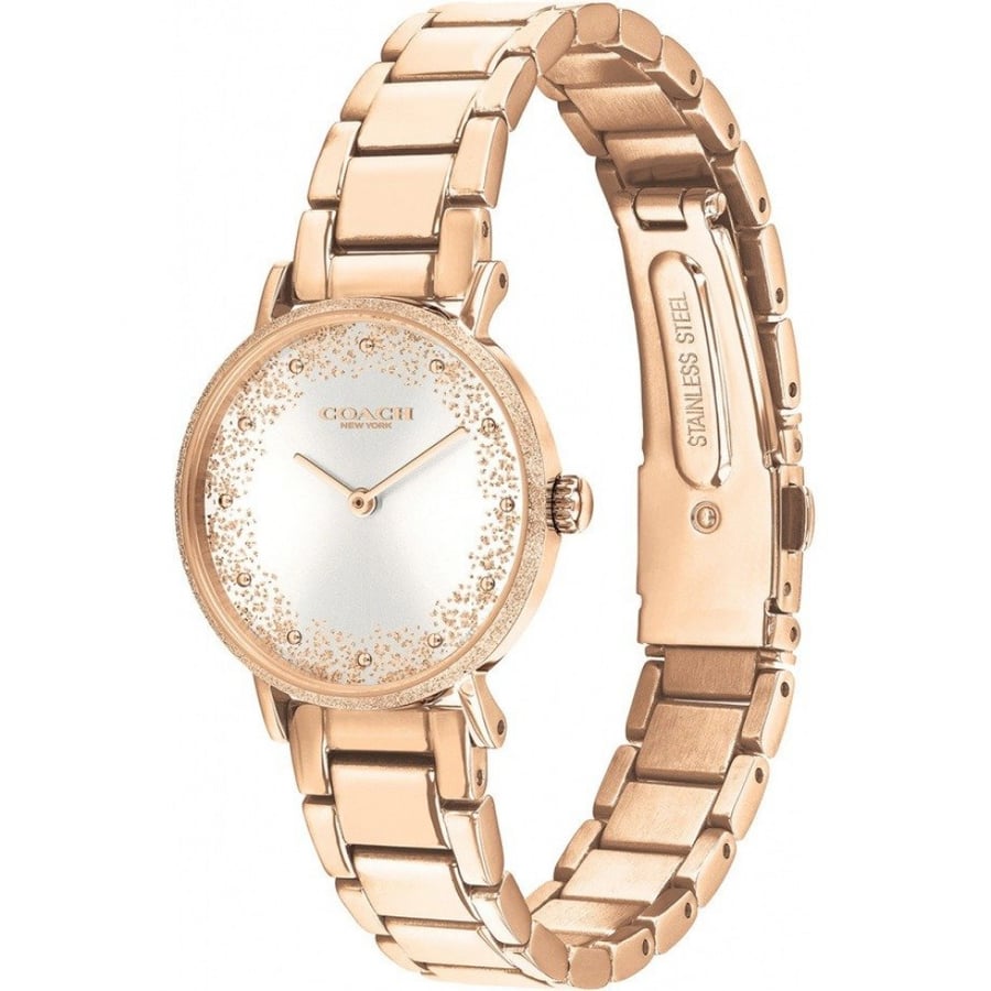 Coach watch