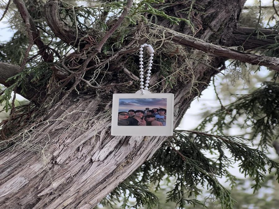 Mini Polaroid الصور من اختيارك