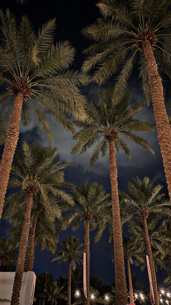 أفضل اماكن تصوير بالرياض