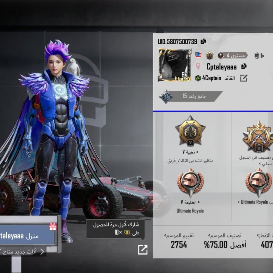 حساب ببجي العالمية LVL 64 مشحون 4 مواسم + الرفيق الصقر