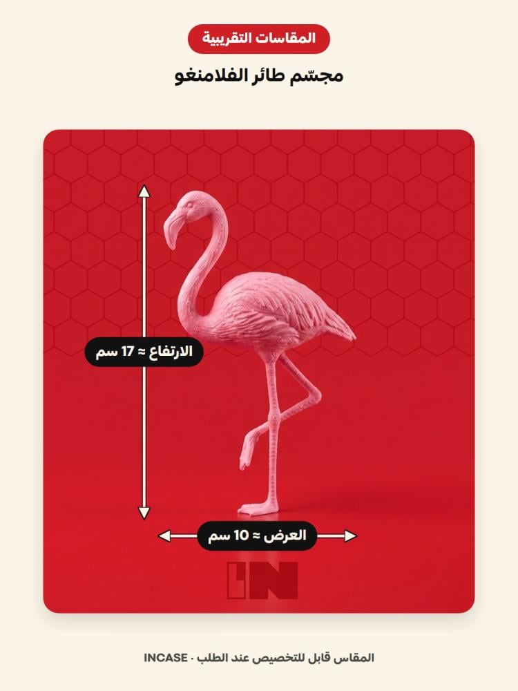 المقاسات