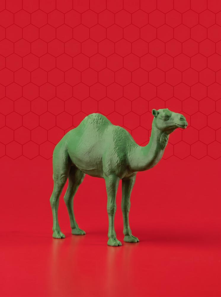 اللون أخضر
