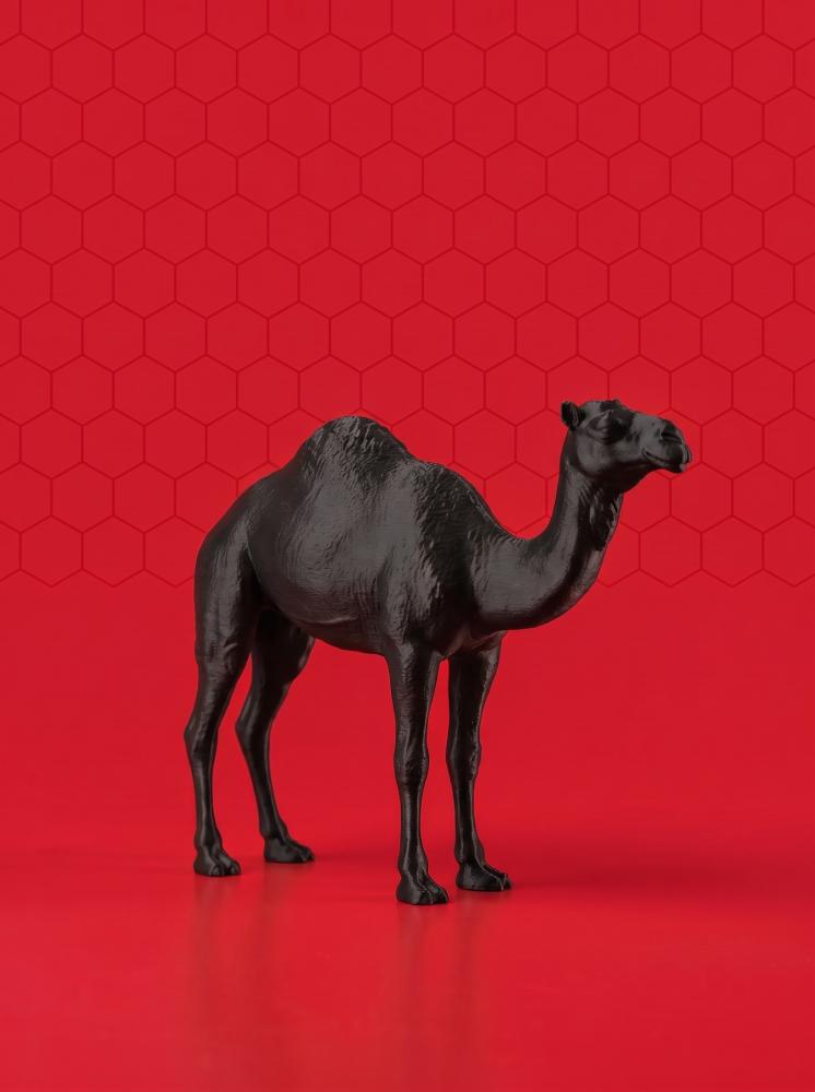 اللون أسود