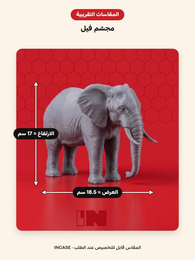 المقاسات