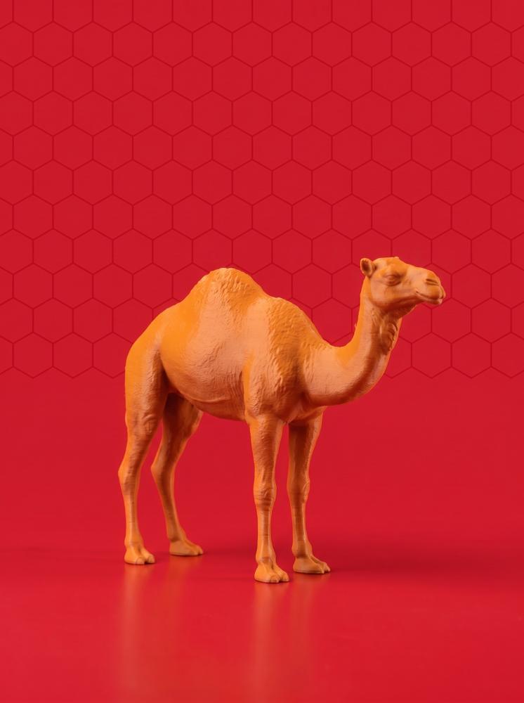 اللون برتقالي