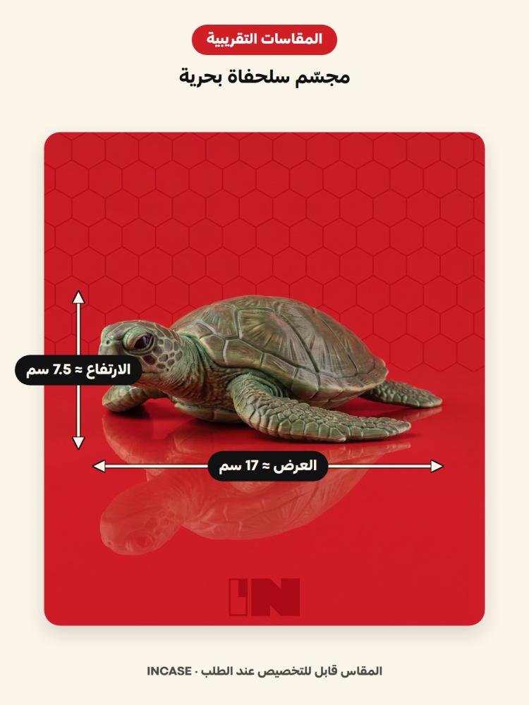 المقاسات