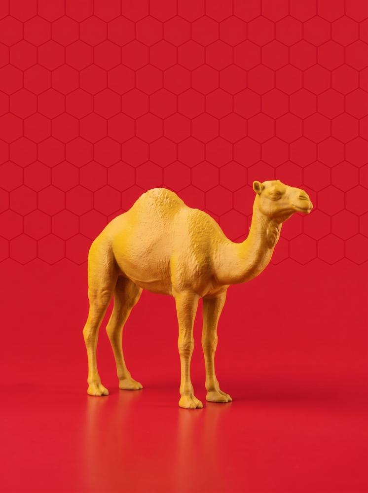 اللون أصفر
