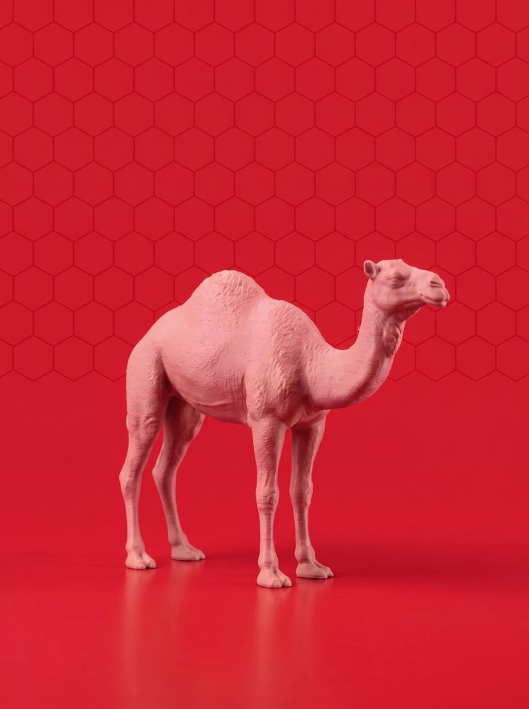 اللون وردي