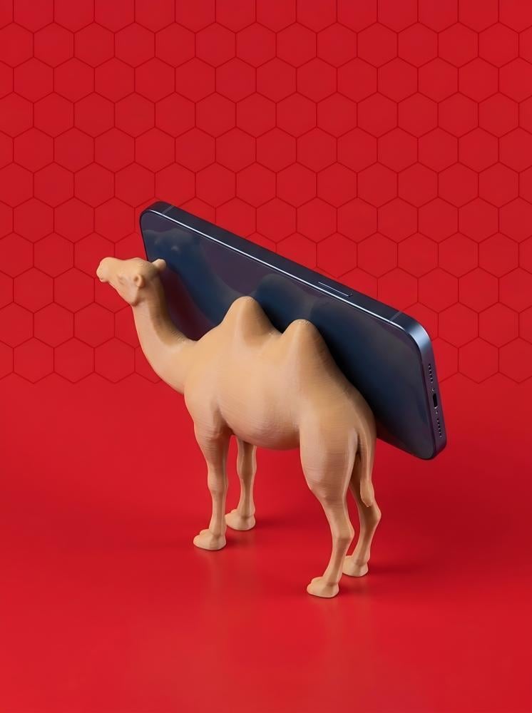 زاوية أخرى