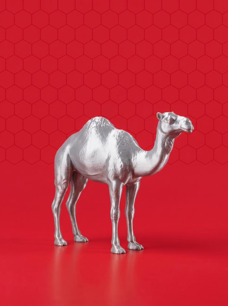 اللون فضي