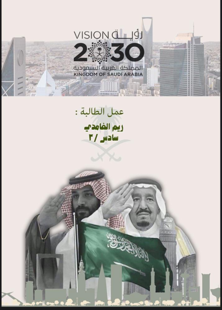 بحث عن رؤية  ٢٠٣٠ (١٢) ورقة