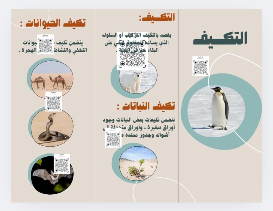 التكيف