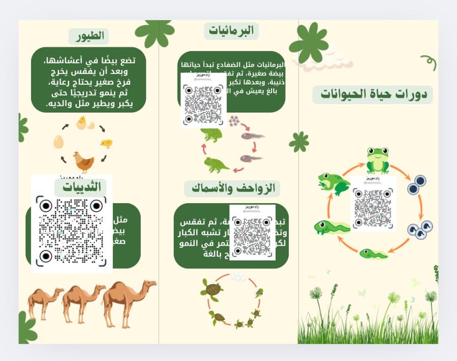 دورات حياة الحيوانات