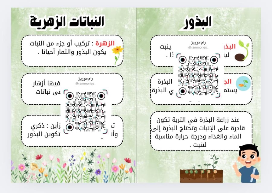 دورات حياة النبات