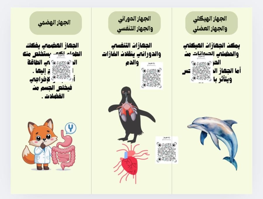 أجهزة أجسام الحيوانات