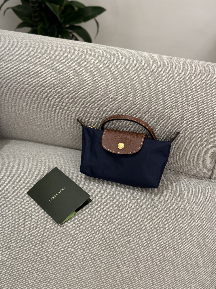 Long champ mini