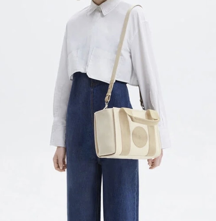 Charles & keith bag