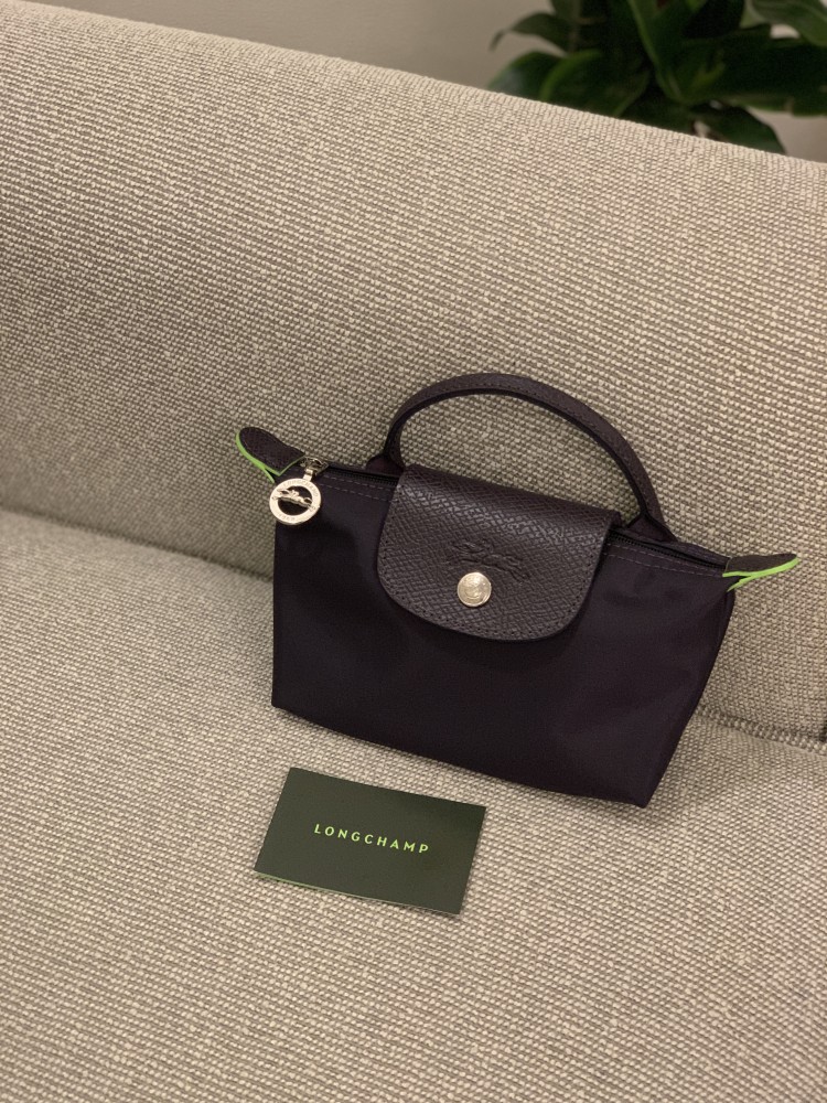 Long champ mini