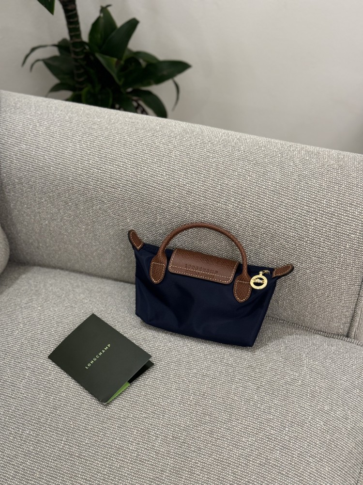 Long champ mini