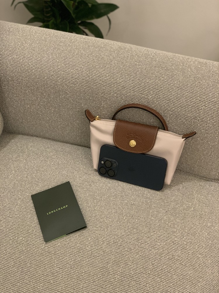 Long champ mini