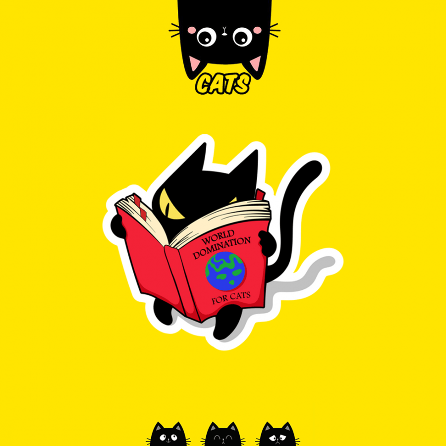 CUTE CAT | The funny cats