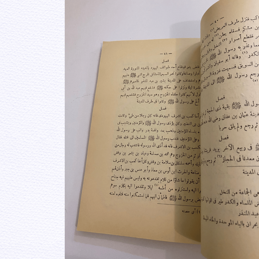 نادر: الفصول في  اختصار سيرة الرسول