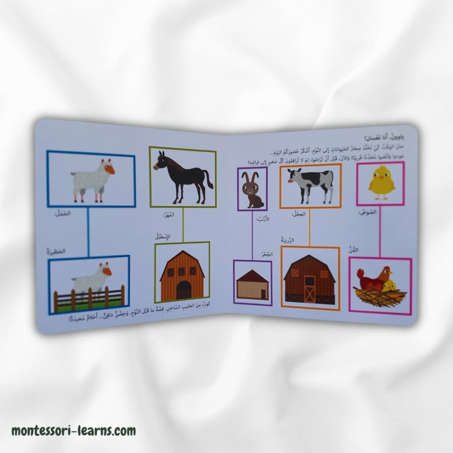 كتابي الأول حيوانات المزرعة