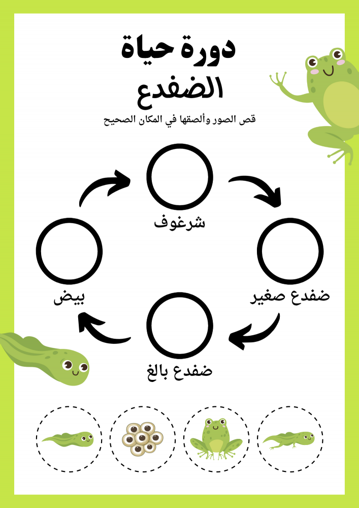 دورة حياة الحيوانات