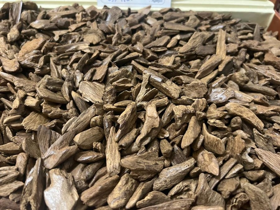 دقة النشامى مروكي طبيعي