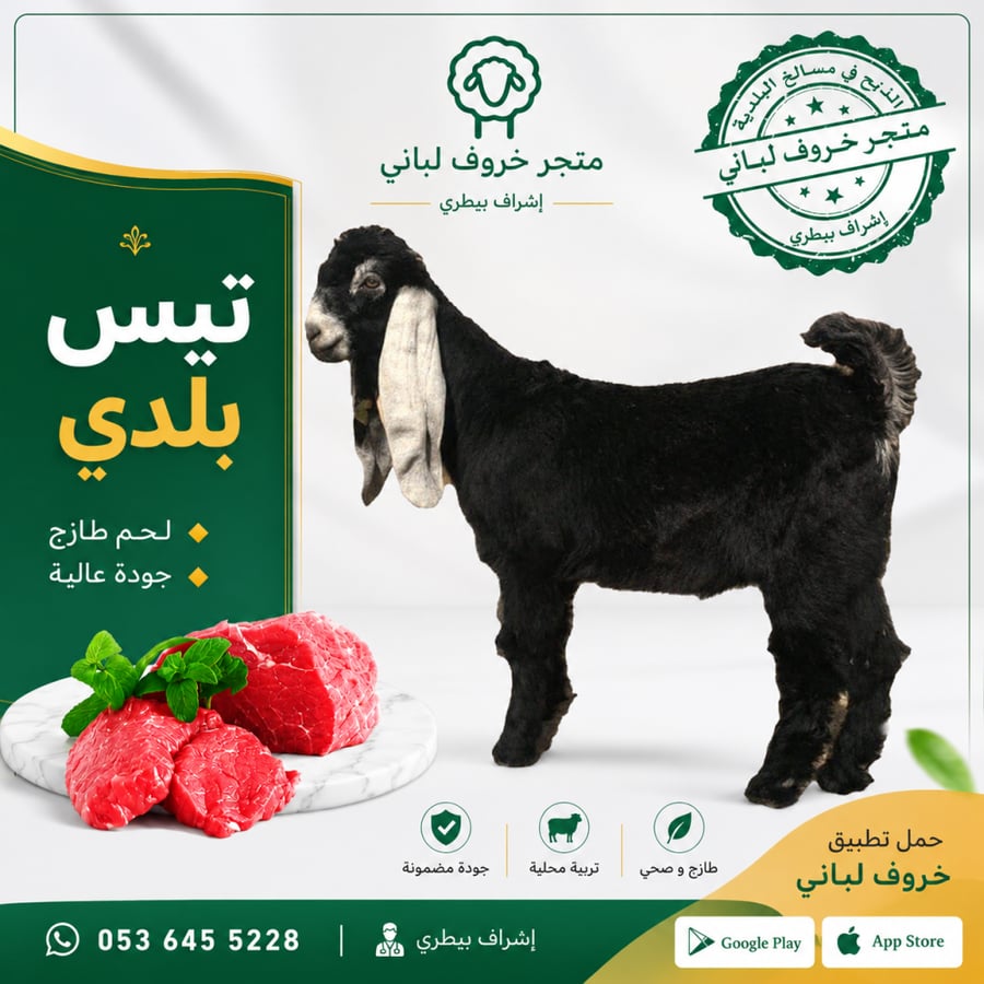 نصف تيس بلدي (لباني )