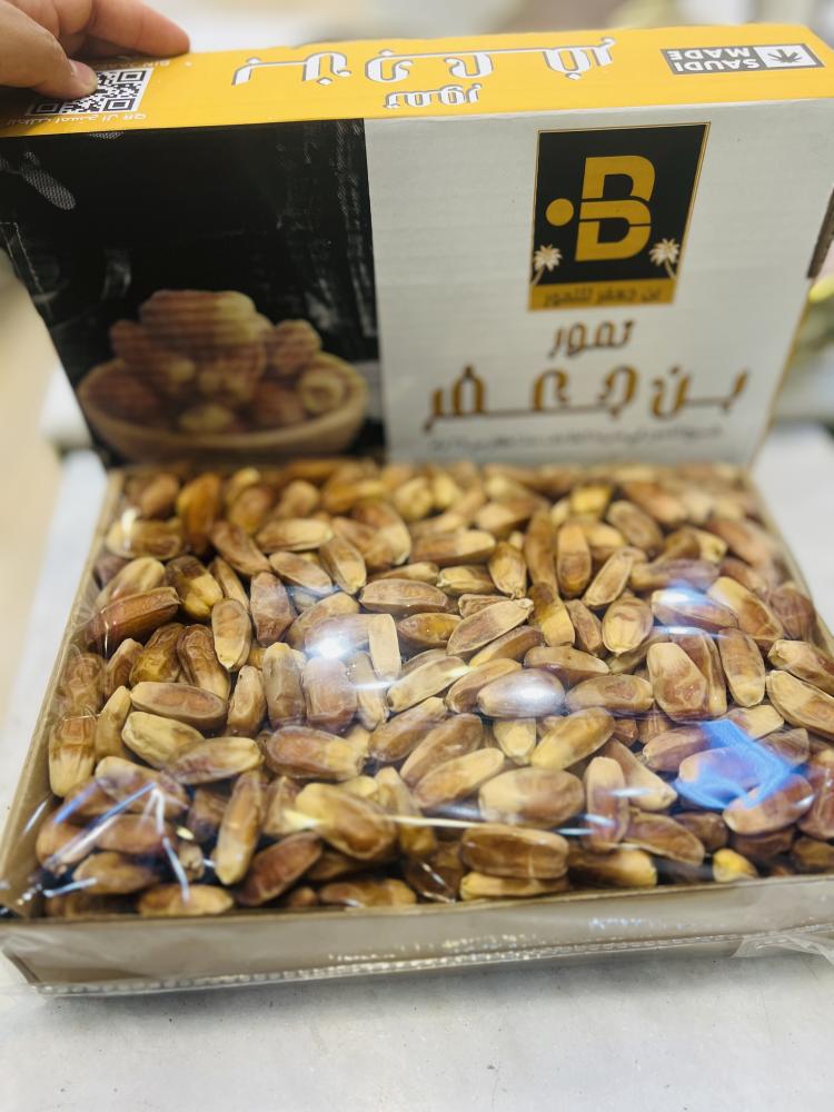 نبتته بن جعفر