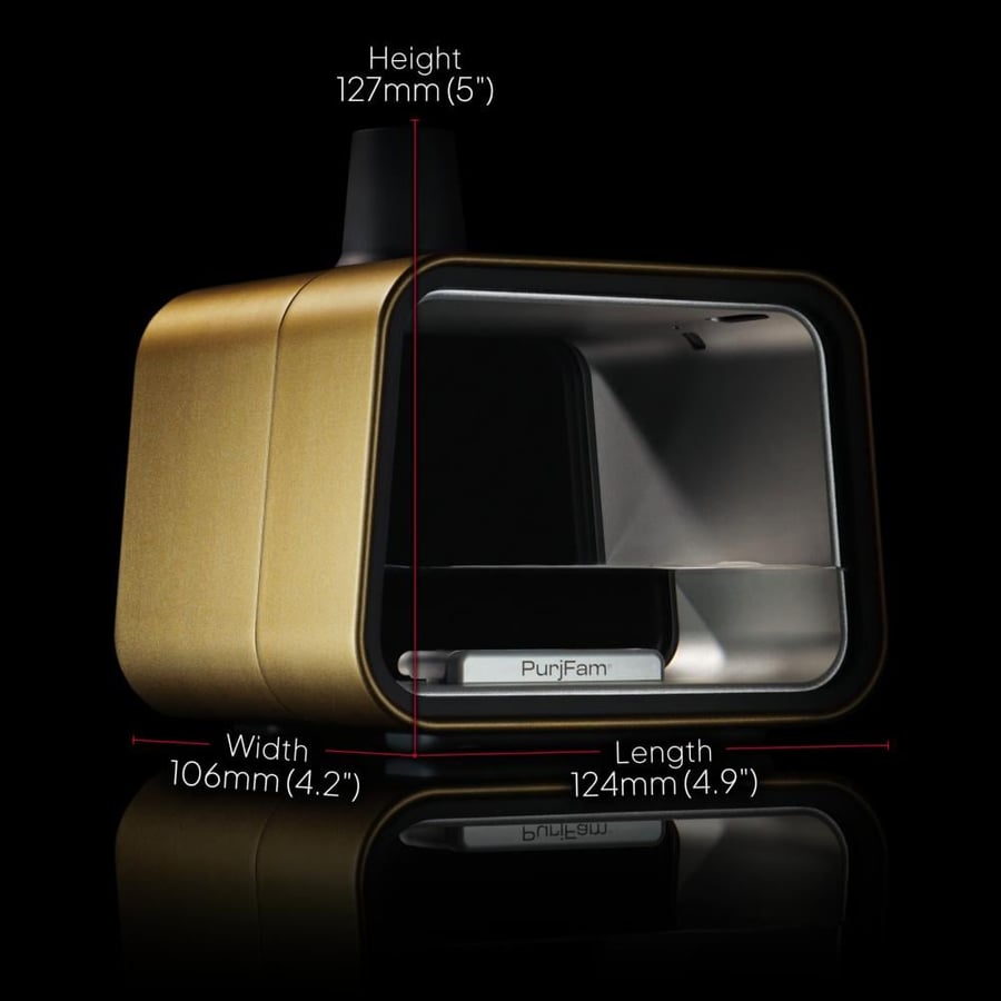 PURJFAM - VIVID POD GOLD
