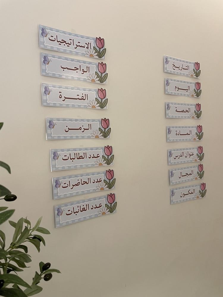 منظمات سبورة توليب
