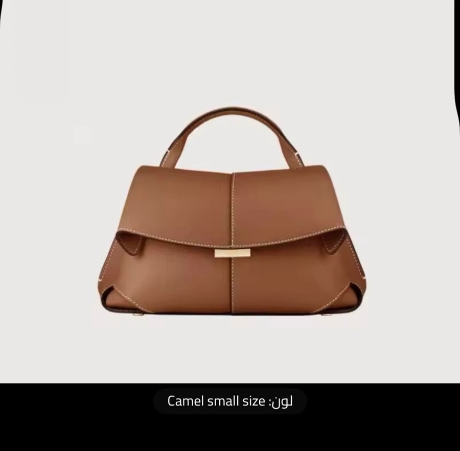حقيبة بولين الجلدية الصغيرة